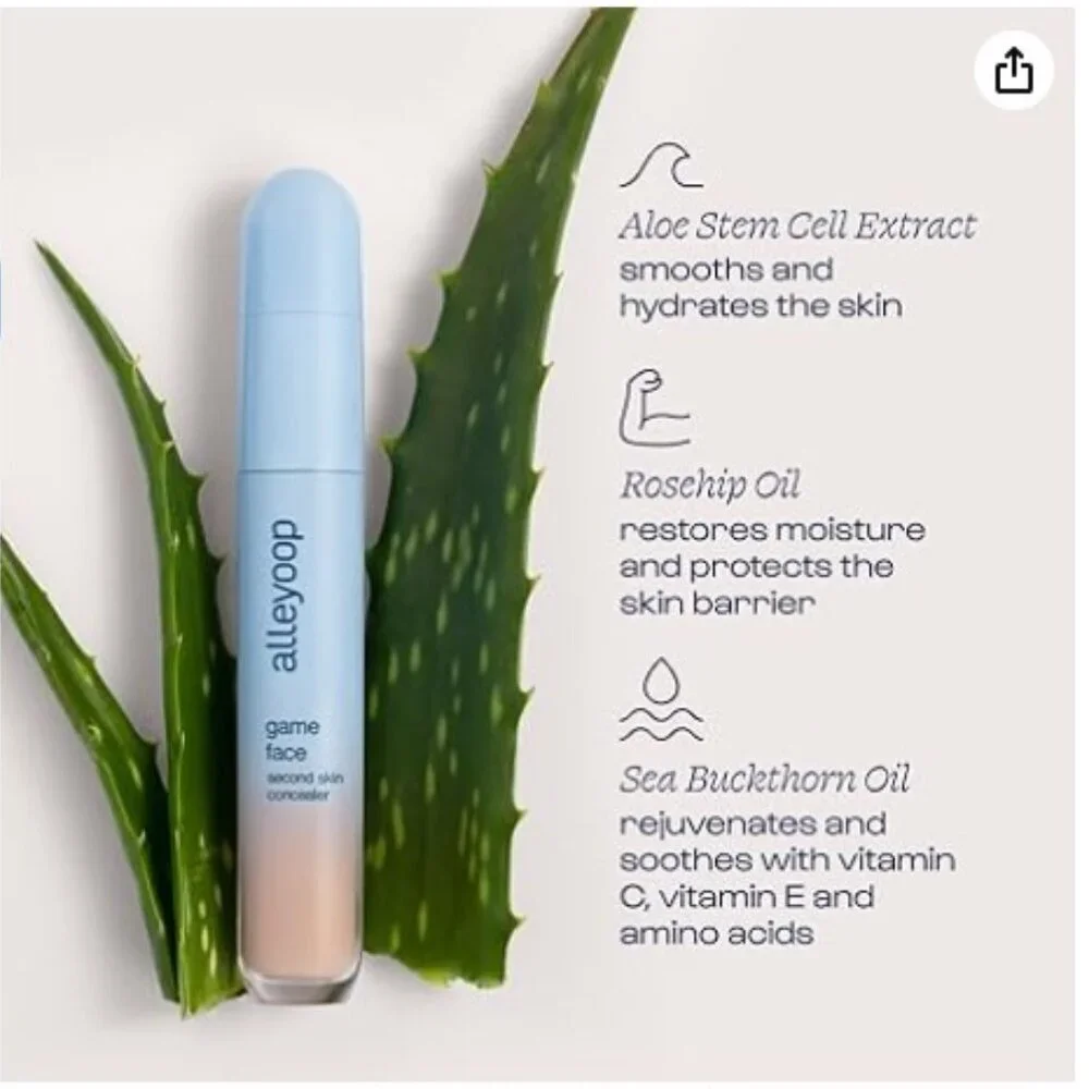 Alleyoop Game Face Concealer in shade WINNER